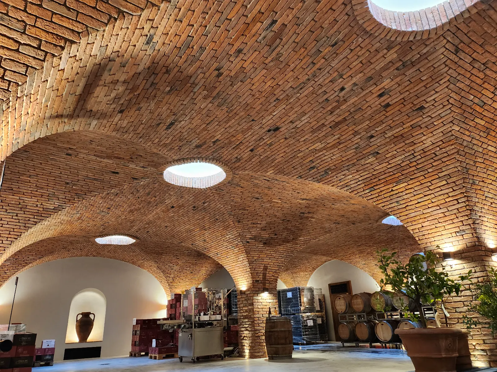 Volta a crociera nella cantina — Cantina Vineria del Carmine, Umbertide, Perugia