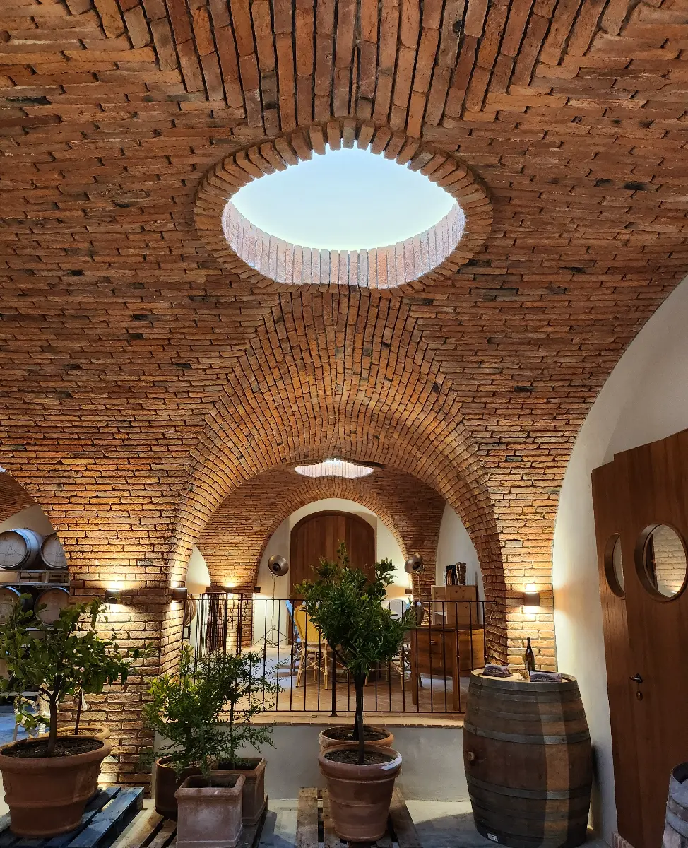 Soffitto a volta ad arco nella sala — Cantina Vineria del Carmine, Umbertide, Perugia