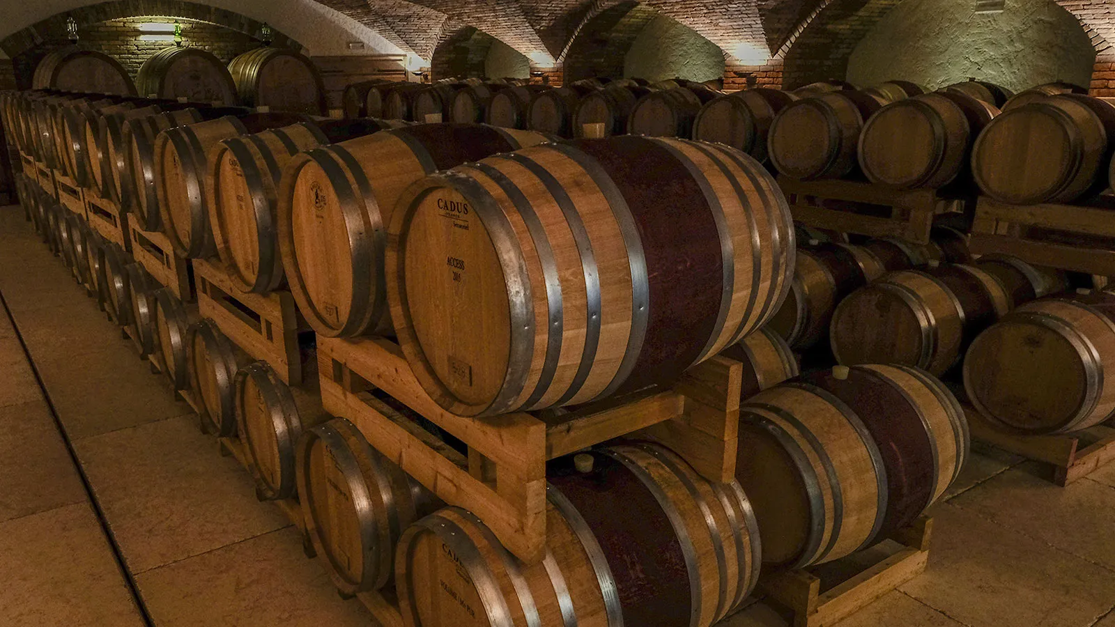 Barriques aging beneath the antique brick barrel vault and its lateral lunettes — Giusti Wine barrel room, Nervesa della Battaglia, Italy