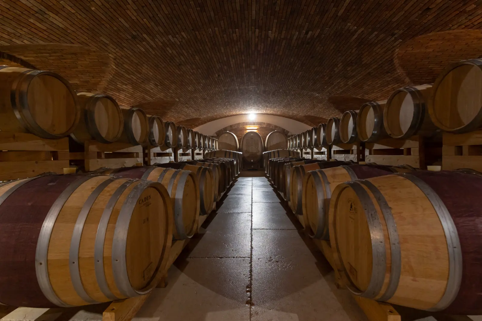 Corridoio con volta a botte e unghie laterali in mattoni — cantina Giusti Wine, Treviso