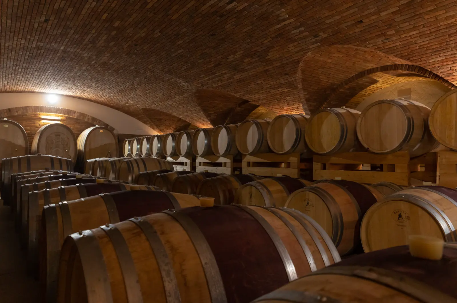 Arcate e colonne in mattoni antichi nella barricaia di Giusti Wine, Nervesa della Battaglia