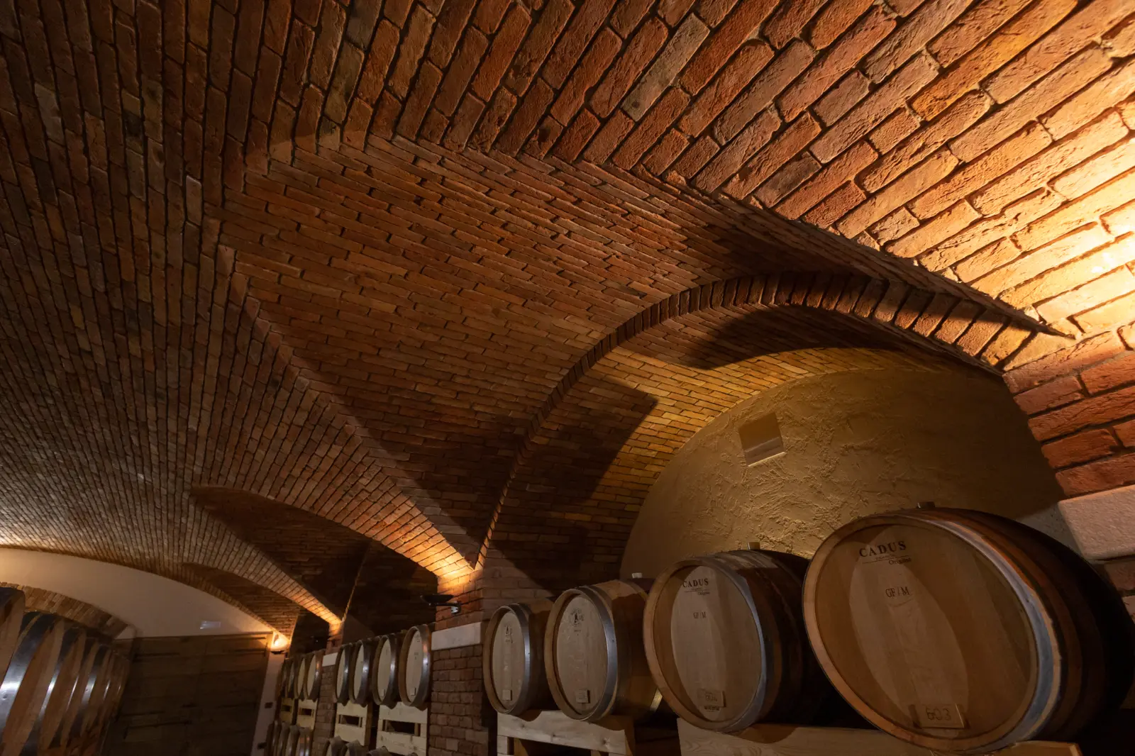 Unghie laterali in volta a botte in mattoni — barricaia Giusti Wine, Nervesa della Battaglia