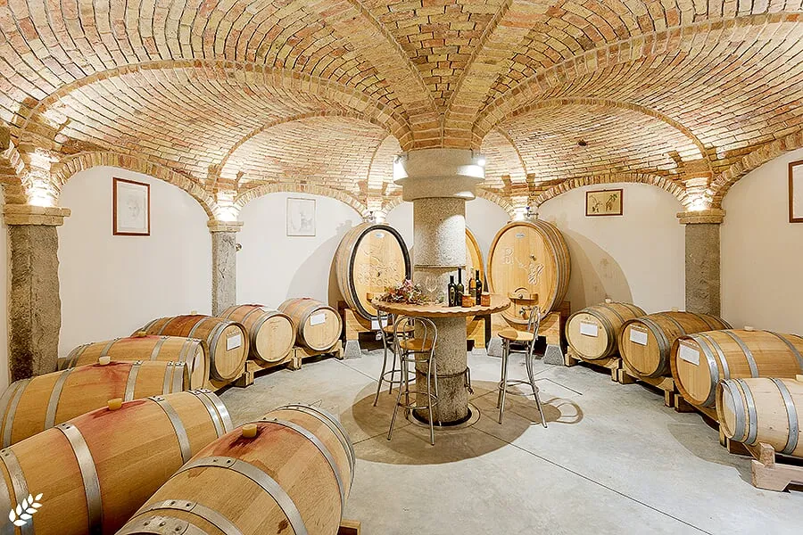Bespoke Italian umbrella-style brick vaults with a central column in a transformed luxury wine aging and tasting room. Exposed brick, stone, and light create an intimate, timeless atmosphere for wine preservation and presentation at a historical Friulian cantina.