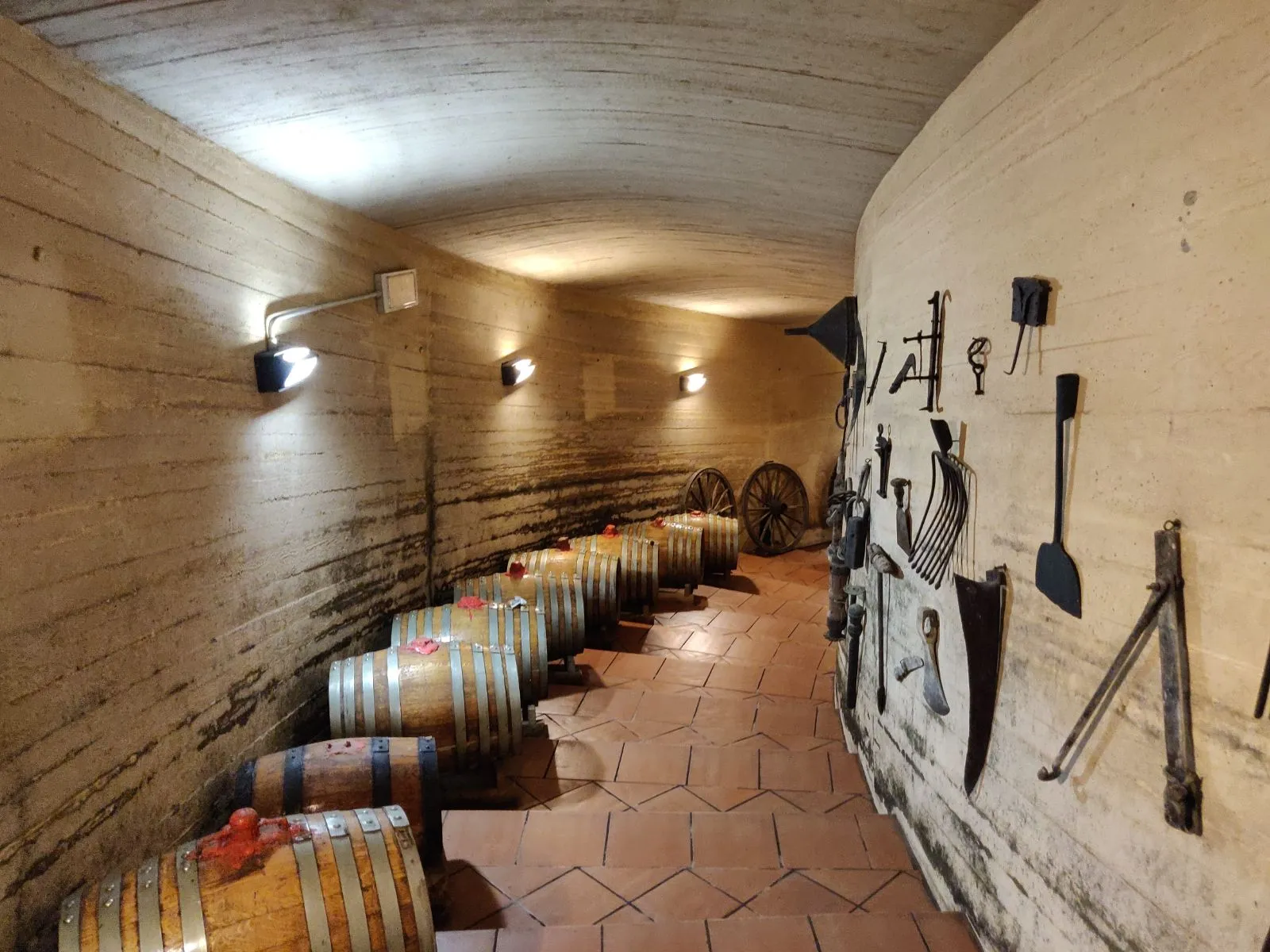 Raw concrete wine cellar tunnel at Casisano estate in Montalcino before architectural renovation, showing the bare structural environment prior to the installation of custom vaulted ceilings.