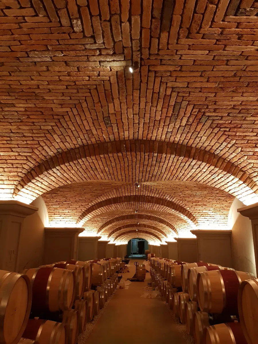 Soffitto a volta ad arco in cantina — Tommasi Winery, Valpolicella, Verona