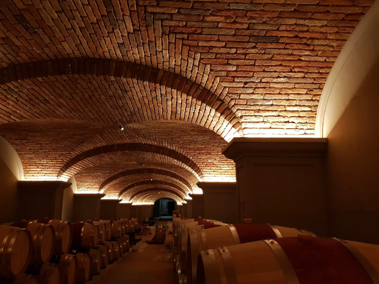 Volte a crociera in mattoni illuminate dai capitelli sopra le barrique — tunnel di Tommasi Viticoltori, Valpolicella, Verona