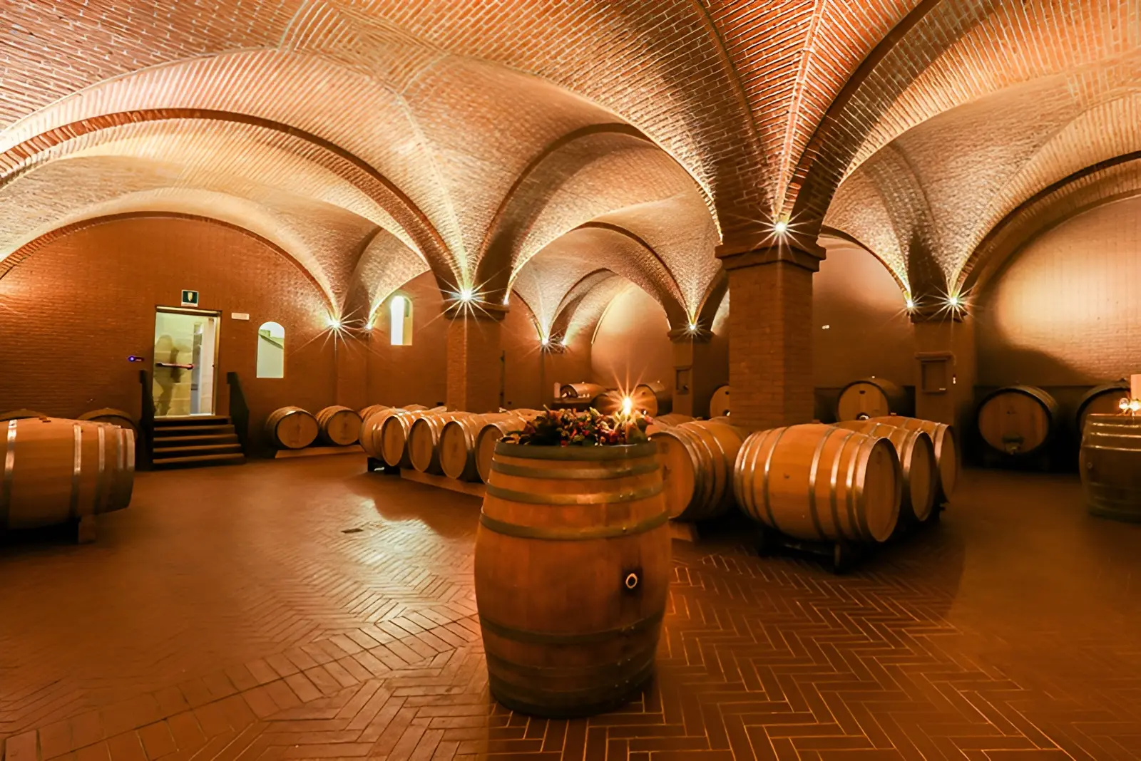 A historic Italian winery, defined by a continuous sequence of intricate Italian masonry cross vaults resting on columns.